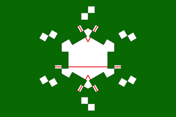 monotile_2d_single_tile